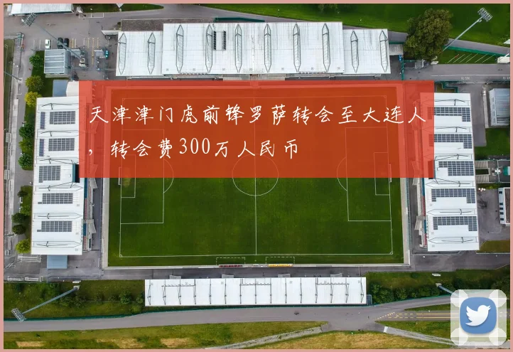 天津津门虎前锋罗萨转会至大连人，转会费300万人民币